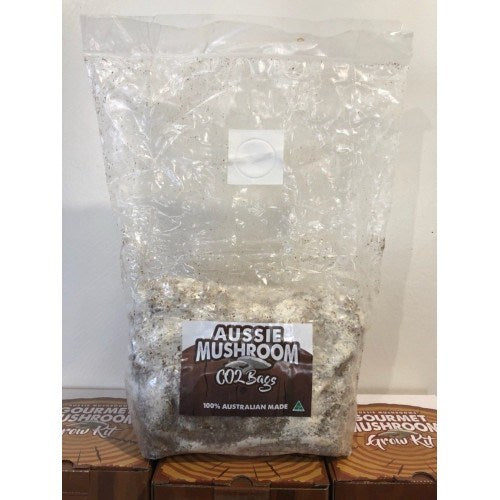 Aussie Mushroom CO2 Bags